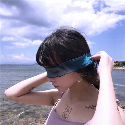 组装机械剑背龙