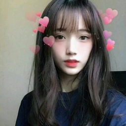 鸡鸭兄弟圣诞无敌版