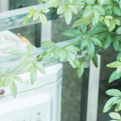 青岛房地产团购网