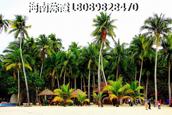 广东楼盘哪个好