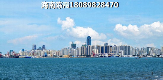 2023远洋繁花里生纸空间详细分析