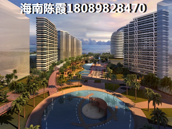 中山黄圃《蓝天金地》